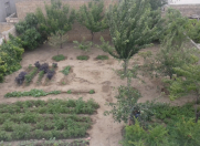 Satılır 7 otaqlı 120 m2 həyət evi Sumqayıt