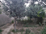 Satılır 1 sot torpaq Zığ