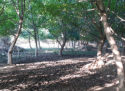 Satılır 33 sot torpaq Göygöl