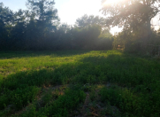 Satılır 60 sot torpaq Qəbələ