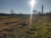 Satılır 20 sot torpaq Xudat