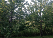 Satılır 102 sot torpaq Xudat