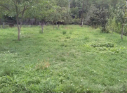 Satılır 10 sot torpaq Qusar