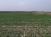 Satılır 12 sot torpaq Novxanı