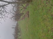 Satılır 62 sot torpaq Quba