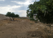 Satılır 12 sot torpaq Albalı