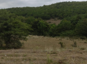 Satılır 8 sot torpaq Xızı