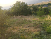 Satılır 8 sot torpaq İsmayıllı