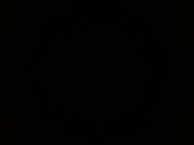 Satılır 2 sot torpaq Biləcəri