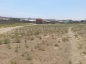 Satılır 5 sot torpaq Saray