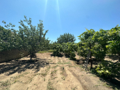 Satılır 16 sot torpaq Şüvəlan