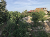 Satılır 3 otaqlı 15000 m2 bağ evi Koroğlu Parkı