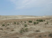 Satılır 313 sot torpaq Perekeşkül