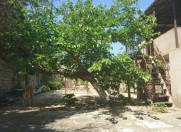 Satılır 11 sot torpaq Bilgəh