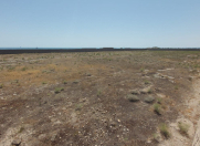 Satılır 168 sot torpaq Türkan