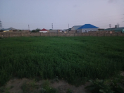 Satılır 10 sot torpaq Digah