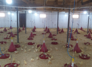 Satılır 3 otaqlı 680 m2 obyekt Kürdəmir