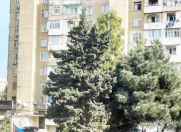 Satılır 2 otaqlı 55 m2 köhnə tikili Əhmədli