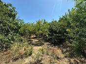 Satılır 13 sot torpaq Mərdəkan