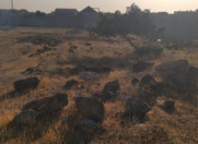 Satılır 21 sot torpaq Buzovna