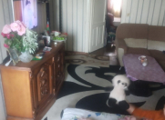 Satılır 2 otaqlı 55 m2 köhnə tikili 3 mkr