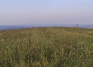 Satılır 262 sot torpaq Şamaxı