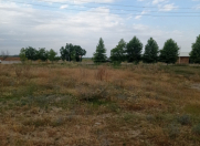 Satılır 11 sot torpaq Quba