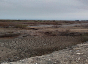 Satılır 400 sot torpaq Goranboy