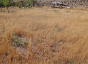 Satılır 4 sot torpaq Məhəmmədli