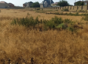 Satılır 100 sot torpaq Masazır