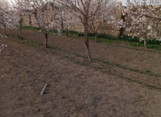 Satılır 12 sot torpaq Maştağa