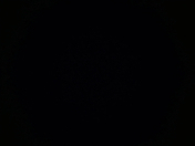 Satılır 24 sot torpaq Qusar