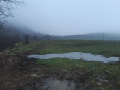 Satılır 440 sot torpaq Lənkəran