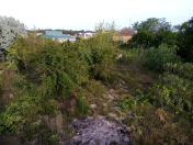 Satılır 7 sot torpaq Şirvan