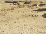 Satılır 7.5 sot torpaq Məhəmmədli