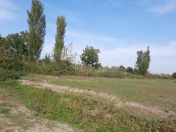 Satılır 260 sot torpaq Lənkəran