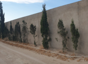 Satılır 10 sot torpaq Dübəndi bağları