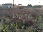 Satılır 10 sot torpaq Şirvan