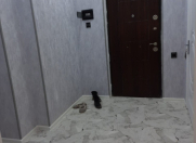 İcarəyə verilir 2 otaqlı 55 m2 yeni tikili Əhmədli m.