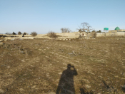 Satılır 11.5 sot torpaq Türkan