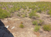 Satılır 10 sot torpaq Türkan