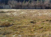 Satılır 50 sot torpaq Zabrat 1