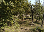 Satılır 4 sot torpaq Qax