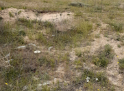 İcarəyə verilir 6 sot torpaq Sabunçu r.