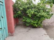 Satılır 3 otaqlı 75 m2 həyət evi Sabunçu