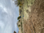 Satılır 4.5 sot torpaq Saray