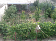 Satılır 4 otaqlı 88 m2 həyət evi Şirvan