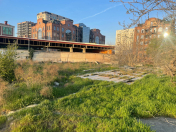 Satılır 65 sot torpaq Badamdar