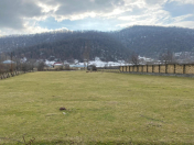 Satılır 32 sot torpaq Qəbələ