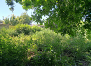 Satılır 4 sot torpaq Xaçmaz